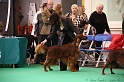 Crufts2011 430